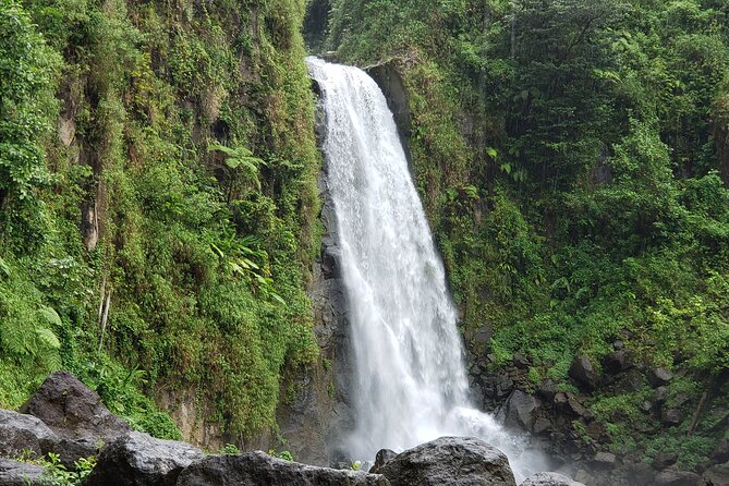 Shoreside Fun-Day with Titou Gorge, Hot Springs & Champagne Reef - How demanding is this Dominica tour?