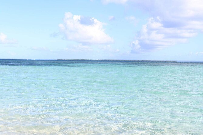 Small Day Cruise (Ilet caret, mangrove, coral reef - Simon’s role shapes the day