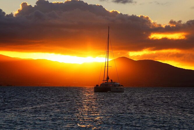 Small Day Cruise (Ilet caret, mangrove, coral reef - What to bring and what to expect on board
