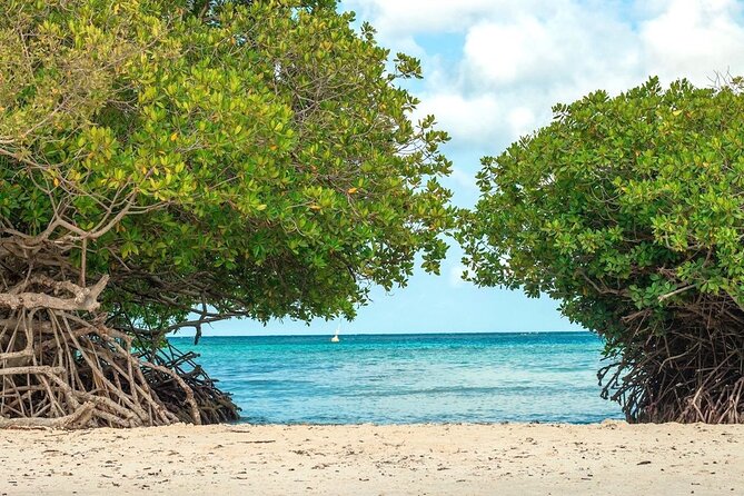 Small-Group Aruba Scuba Diving for Non-Certified Divers - What the 30-minute briefing really gives you