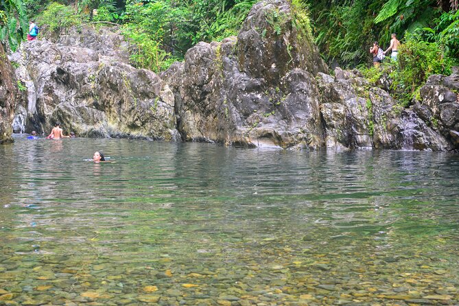 Small-Group El Yunque Rainforest Vivid Day Tour with Transport - What This El Yunque Tour Really Is