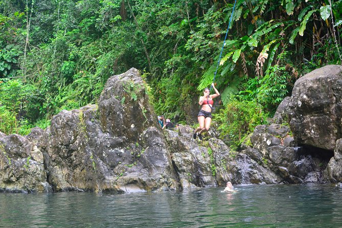 Small-Group El Yunque Rainforest Vivid Day Tour with Transport - A 30-Minute Walk Through Bamboo and Old Trees