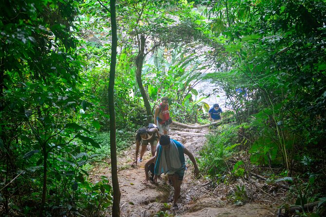 Small-Group El Yunque Rainforest Vivid Day Tour with Transport - Rock Slides, Rope Swings, and Cliff Jumps