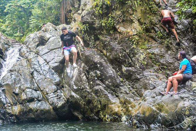 Small-Group El Yunque Rainforest Vivid Day Tour with Transport - Is $75 a Good Value?