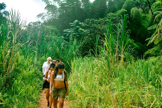 Small-Group El Yunque Rainforest Vivid Day Tour with Transport - The Second Pool and Waterfall