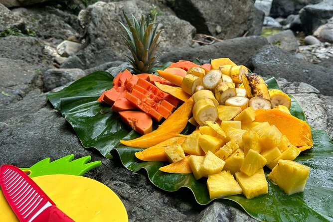 Small-Group El Yunque Rainforest with Transport Half Day - The $55 price and what it really covers