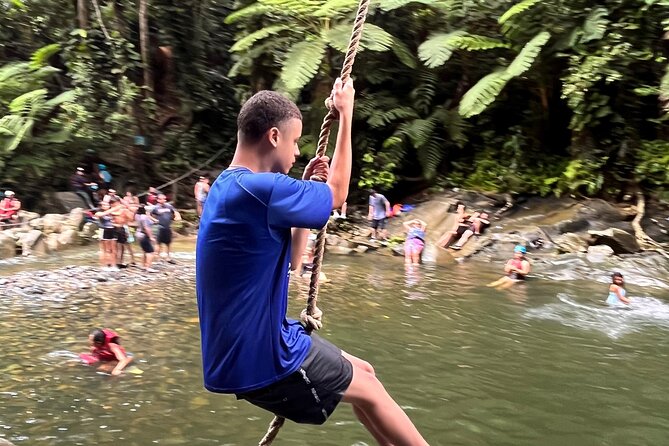 Small-Group El Yunque Waterslide Adventure & transportation - Quick takeaways