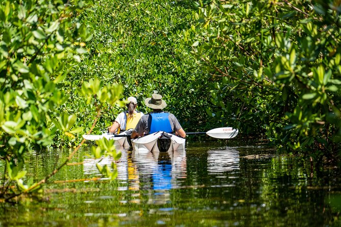 Small Group Glass Bottom Kayak Adventure- Cayman Islands - Why this kayak trip feels different