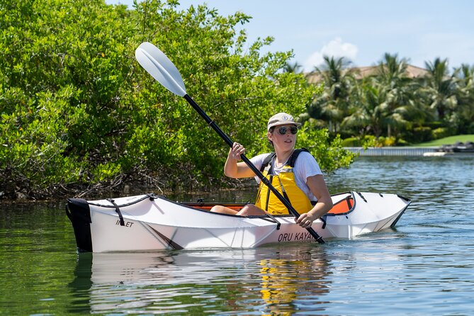 Small Group Glass Bottom Kayak Adventure- Cayman Islands - What the naturalist guide adds