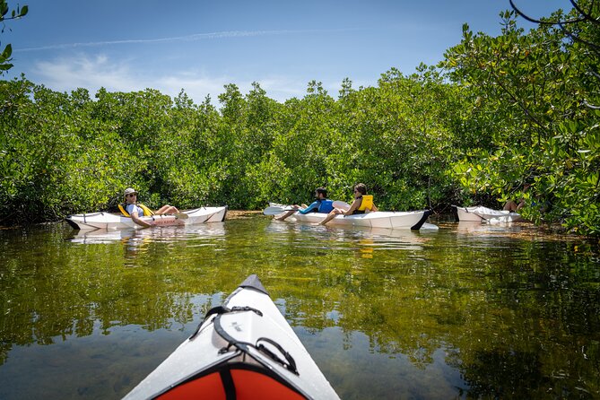 Small Group Glass Bottom Kayak Adventure- Cayman Islands - Meeting at the Cayman Islands Yacht Club