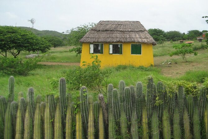 Small-Group Guided North & South Tour of Bonaire with Pick Up - Karpata and the north coast add context beyond scenery