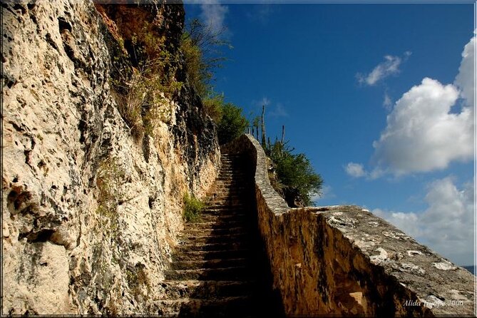 Small-Group Guided North & South Tour of Bonaire with Pick Up - The southern beaches offer quick water views