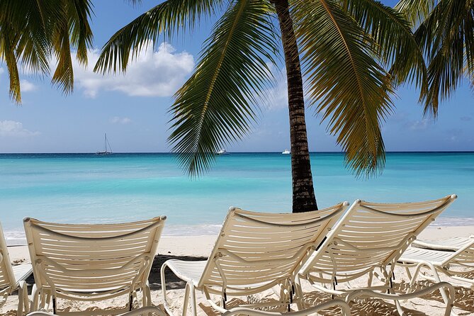 Small Group: Saona Island Full Day Tour - Why this Saona trip feels different