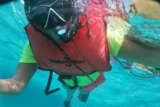 Small Group Snorkeling at Mangel Halto Aruba - The real value of the $55 price