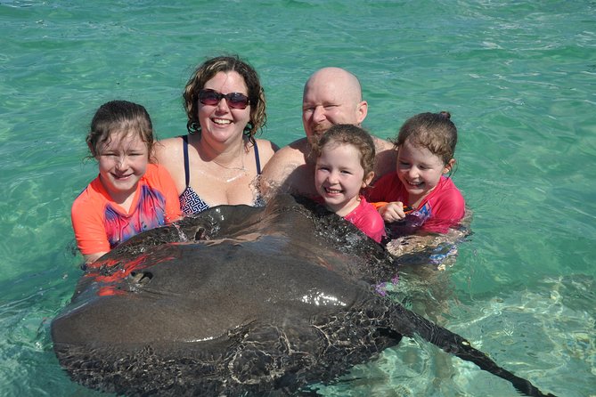 Small Group Snorkeling, Sharks & Stingrays Encounter by boat - The shark and ray encounter
