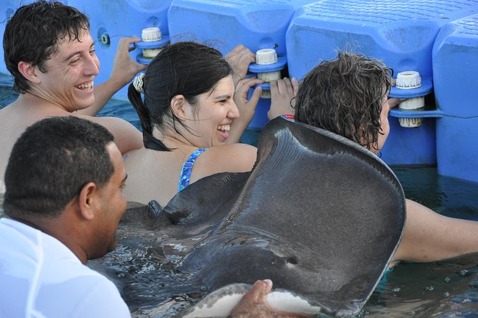 Small Group Snorkeling, Sharks & Stingrays Encounter by boat - Transport, timing, and practical details