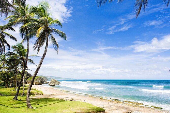 Small-Group Story of Rum Tour in its Birthplace of Barbados - Mount Gay Visitor Centre and the larger tasting