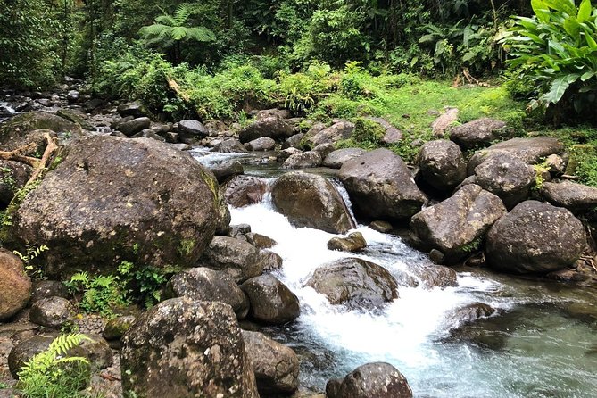 Small-Group Tour: Unmissable Martinique with St Pierre and More - A rainforest waterfall depends on the weather
