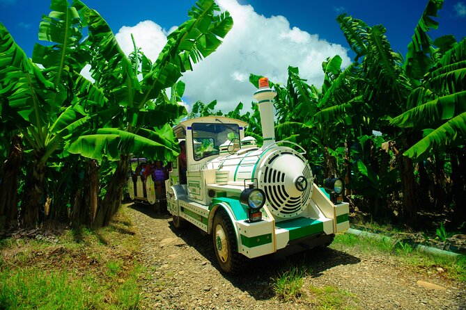Small train tour of a banana farm in Martinique - A Small Train Into Martinique’s Banana Country