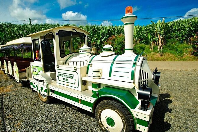 Small train tour of a banana farm in Martinique - What You See on the 65-Hectare Farm