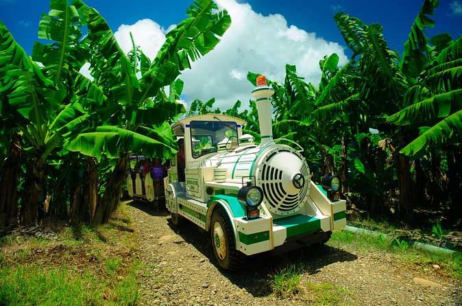 Small train tour of a banana farm in Martinique - The Tasting at the End