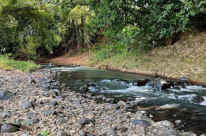 Small train tour of a banana farm in Martinique - Getting to Chemin Soudon in Le Lamentin