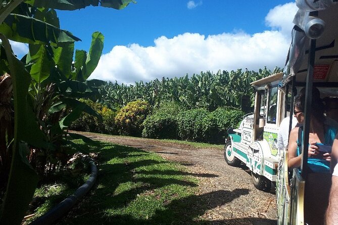 Small train tour of a banana farm in Martinique - Why Families Usually Fit This Visit Well