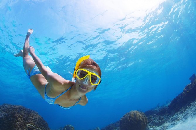 Snorkel and Beach Adventure Tour - Why this Curacao tour works as an island sampler