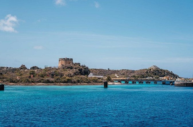 Snorkel Cruise with BBQ Lunch and Open Bar - Practical details that can affect your day
