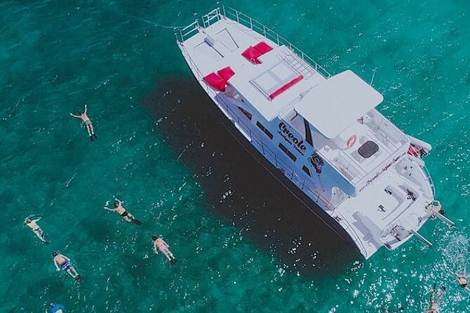 Snorkel - Lobster Lunch Cruise to Bird Island and Paradise Reef - Key points to know before booking