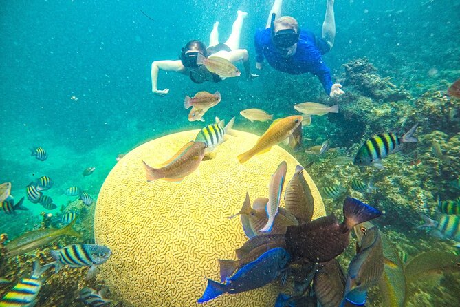 Snorkel Lovers for All Ages & Premium Seafood Lunch in Punta Cana - Why this Punta Cana cruise feels different
