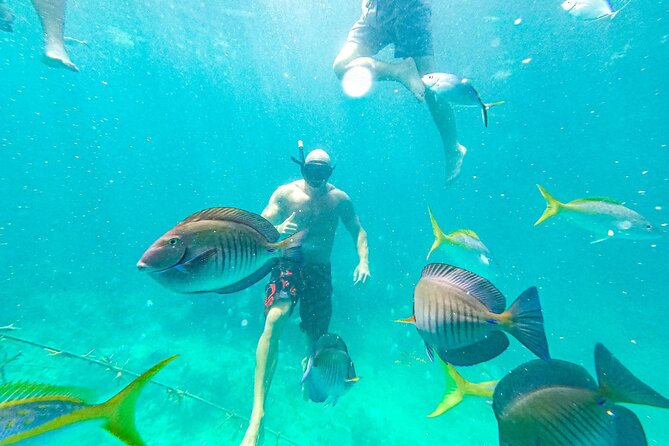 Snorkel Lovers for All Ages & Premium Seafood Lunch in Punta Cana - The slide, deck, and open bar