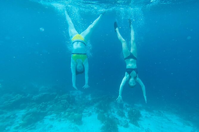Snorkel marathon - What makes Klein Bonaire special