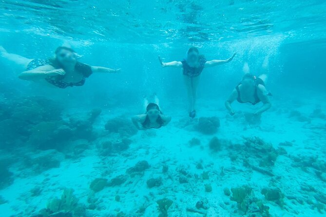 Snorkel marathon - Is $75 a fair price?