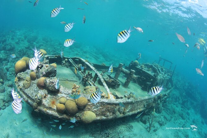 Snorkel Shore Trip with Scubaçao "East Point" - What the five-hour schedule feels like