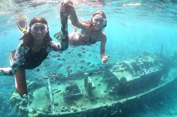 Snorkel Shore Trip with Scubaçao "East Point" - The picnic is useful, but keep expectations modest