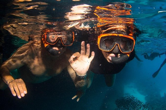 Snorkel Shore Trip with Scubaçao "East Point" - Equipment, comfort, and shore conditions