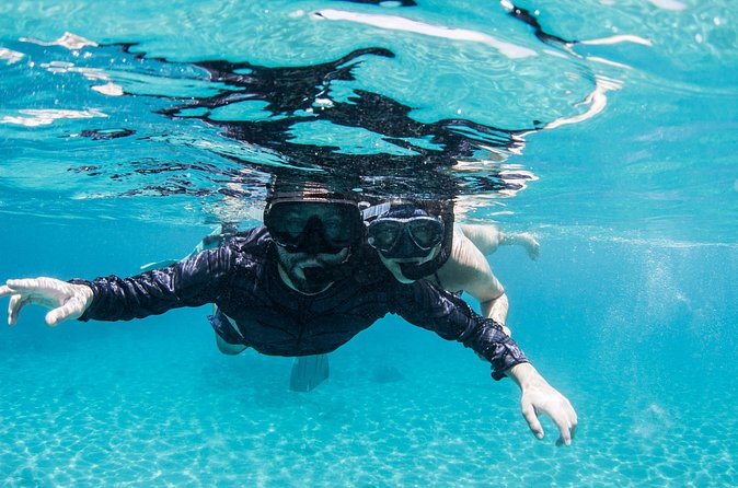 Snorkel Shore Trip with Scubaçao "East Point" - Who should book this Curaçao shore trip