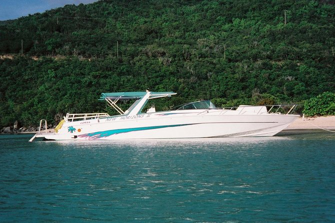 Snorkel St. John Tour from Sapphire and Margaritaville - Who will enjoy this St. John outing?