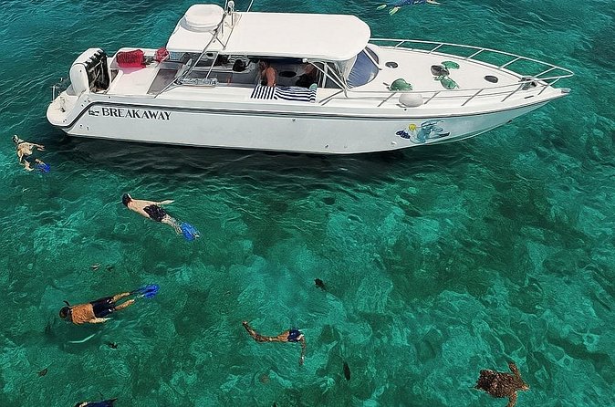 Snorkel St. John Tour from Sapphire and Margaritaville - Should you book this tour?