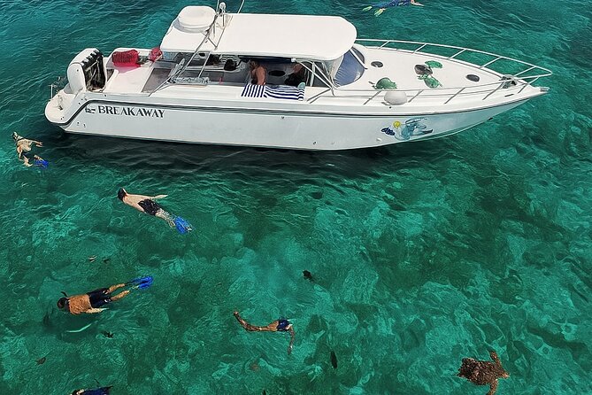 Snorkel St. John Tour from Sapphire and Margaritaville - FAQ