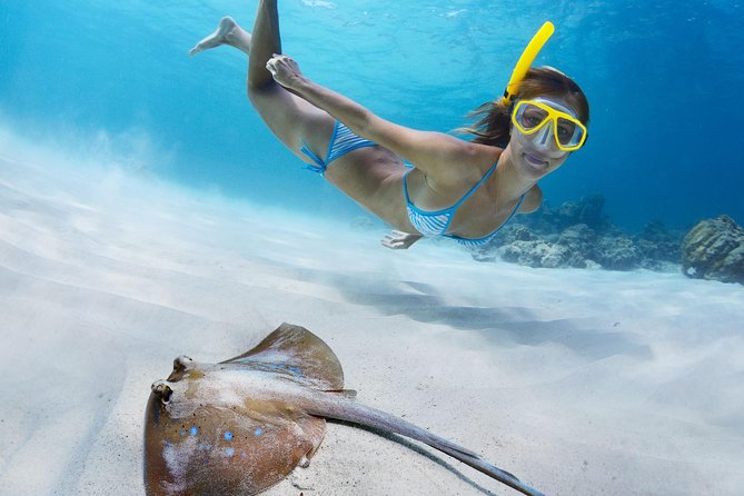 Snorkel & Swim with Turtles. Semi Private Tour to Buck Island & Honeymoon Beach - The ride to Honeymoon Beach gives you a second kind of island time