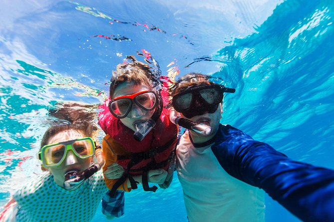 Snorkel & Swim with Turtles. Semi Private Tour to Buck Island & Honeymoon Beach - Should you book the Turtle Cove and Honeymoon Beach trip?
