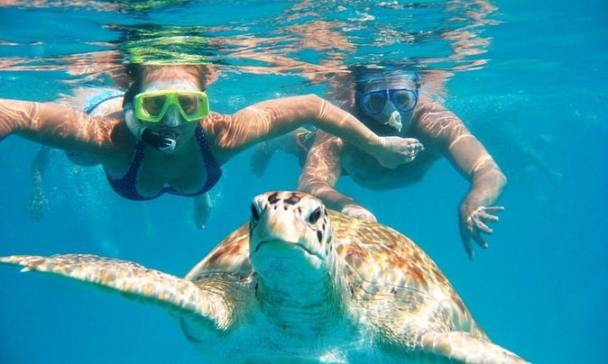 Snorkel Tour in Curacao - Key points to know before you book