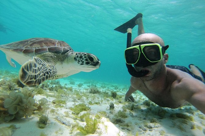 Snorkel Tour in Curacao - Shore snorkeling that puts the reef within easy reach