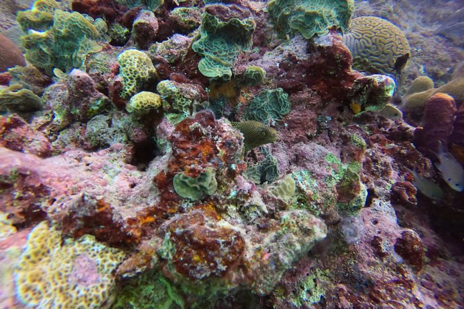Snorkel Tour in Curacao - Why the guide makes the difference