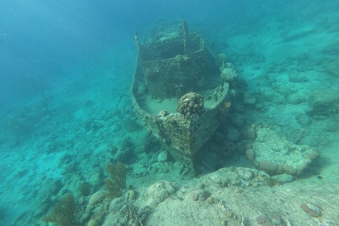 Snorkel Tour in Curacao - Should you book the Curacao snorkel tour?