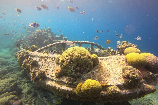 Snorkel Tour in Curacao - What your afternoon is likely to look like