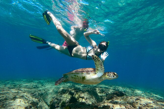 Snorkeling Adventure in Aguadilla - What makes this Aguadilla snorkeling trip worth considering