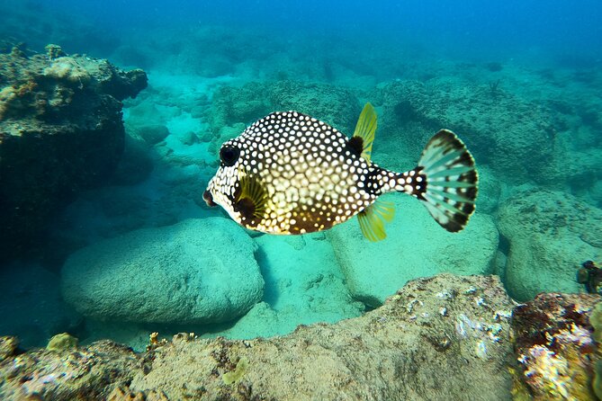Snorkeling Adventure in Aguadilla - Getting fitted with snorkel and safety gear